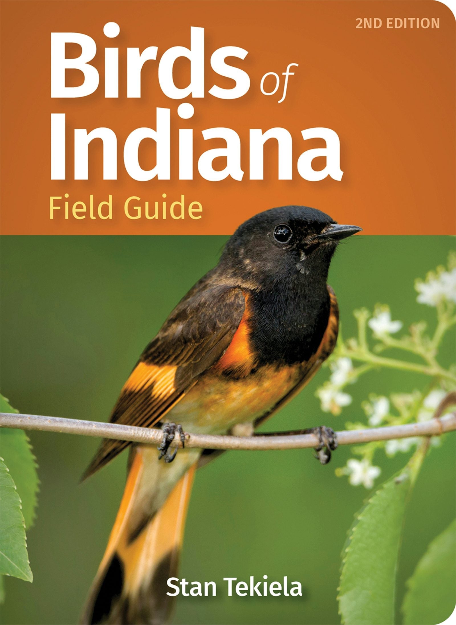 Book cover image for Birds of Indiana Field Guide ISBN: 9781647552398
